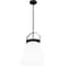 Quoizel Pendant Pendant 1 Light Matte Black QP6181MBK - alternate 5
